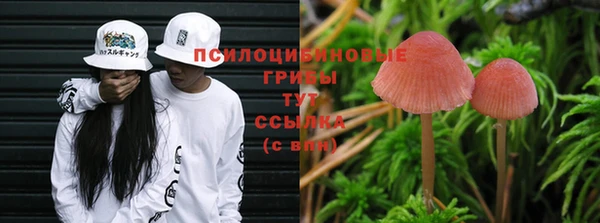 бошки Алексеевка