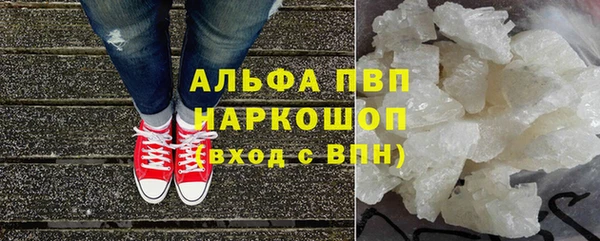 стаф Алексин