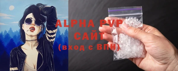 стаф Алексин