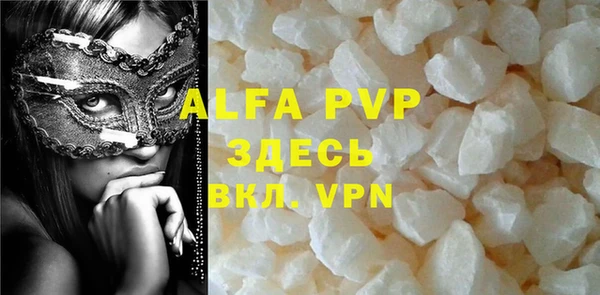 стаф Алексин
