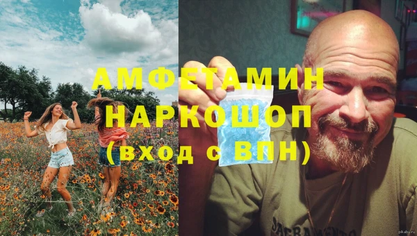 стаф Алексин
